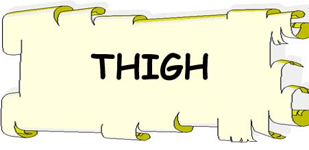 Thigh